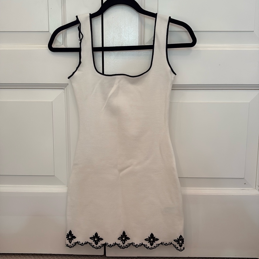 Zara Embroidered Pearl Mini Dress
